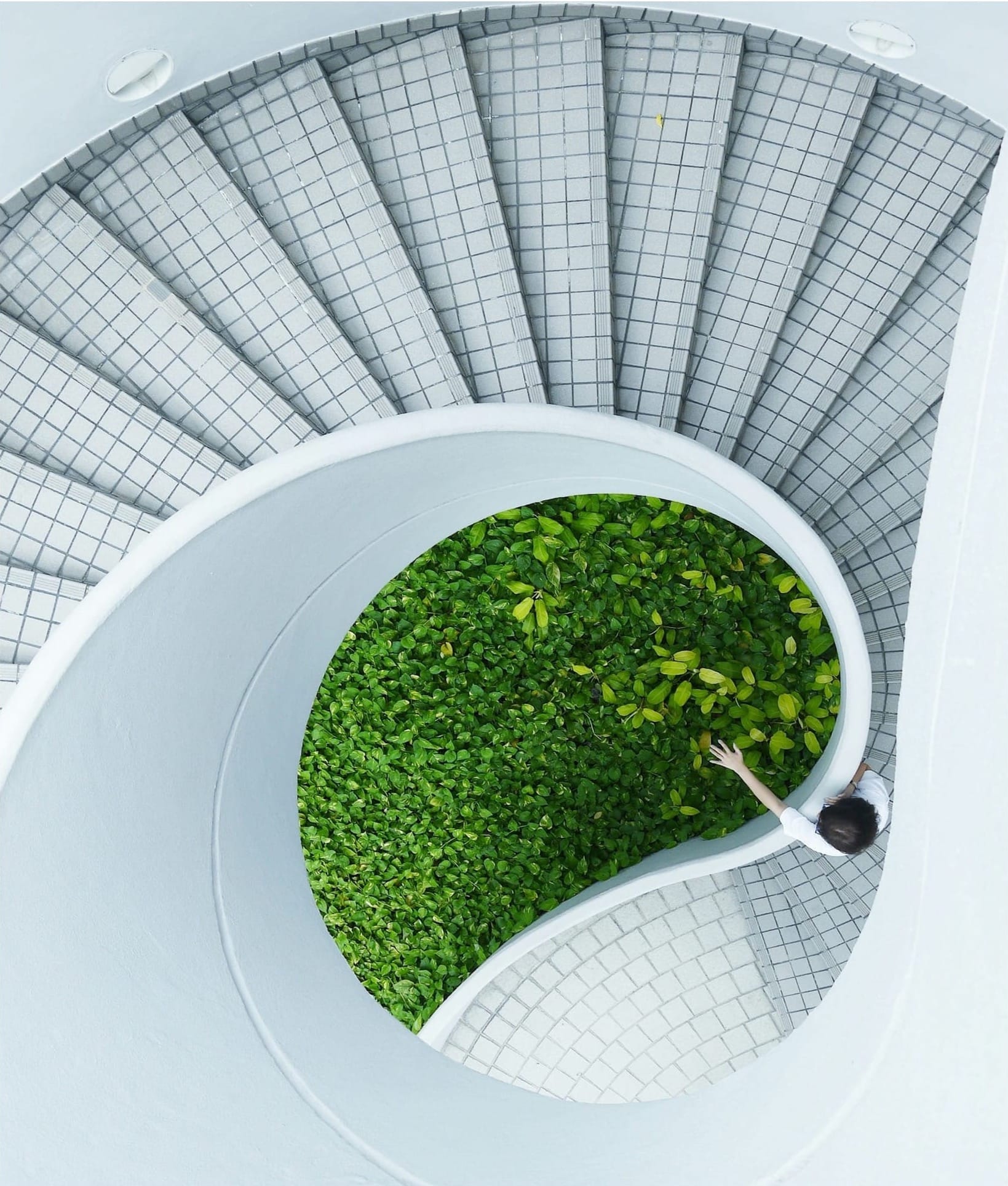 Sustainability as Strategy in Service Organizations